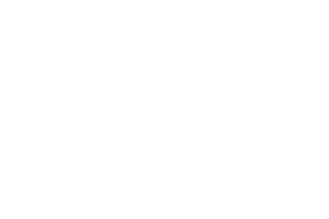 WAP